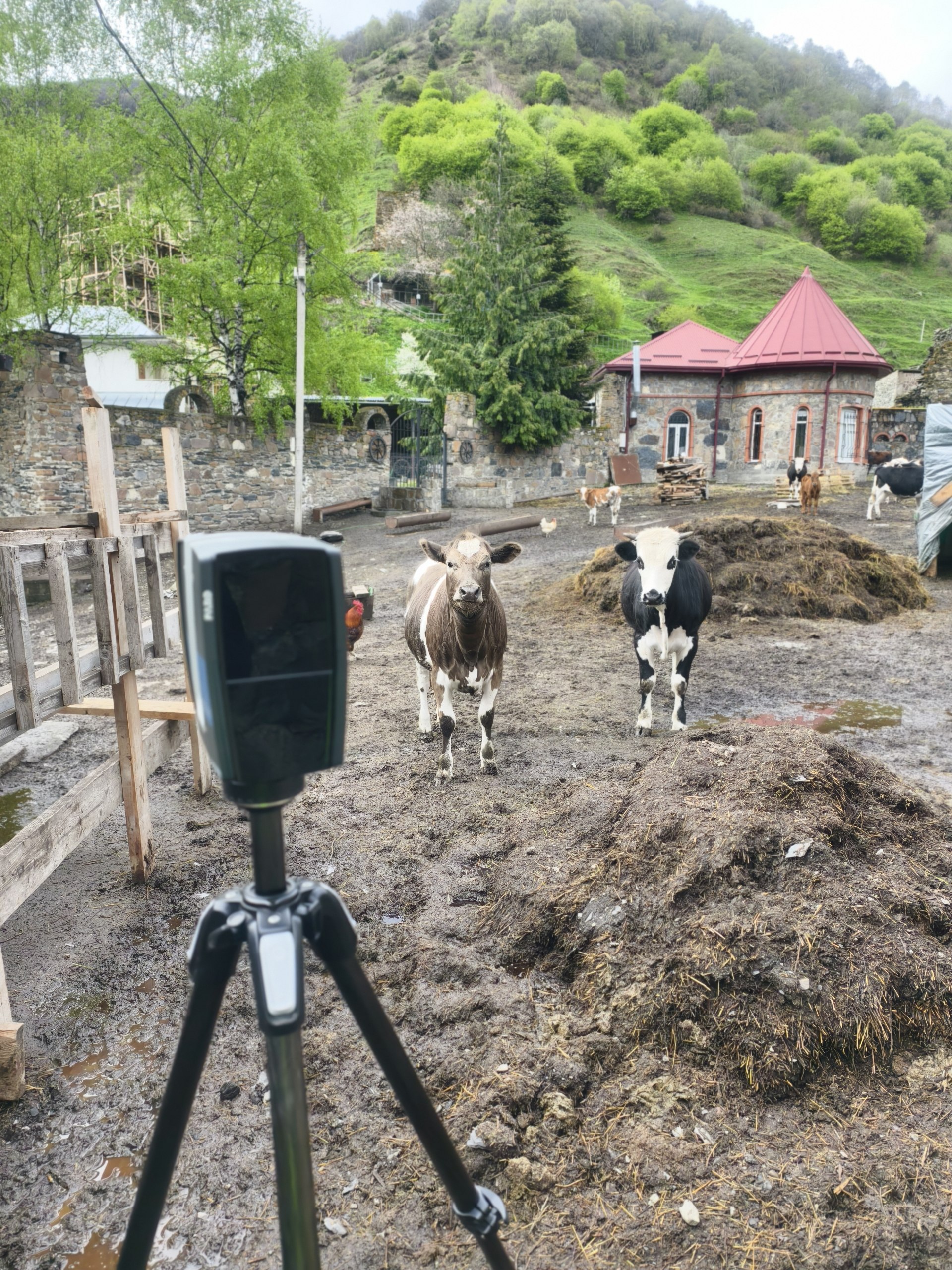 Родовая башня в Санибе — фото 4